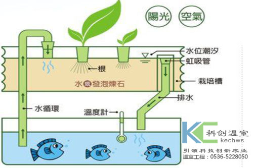 無(wú)土栽培，無(wú)土栽培技術(shù)，無(wú)土栽培設(shè)備