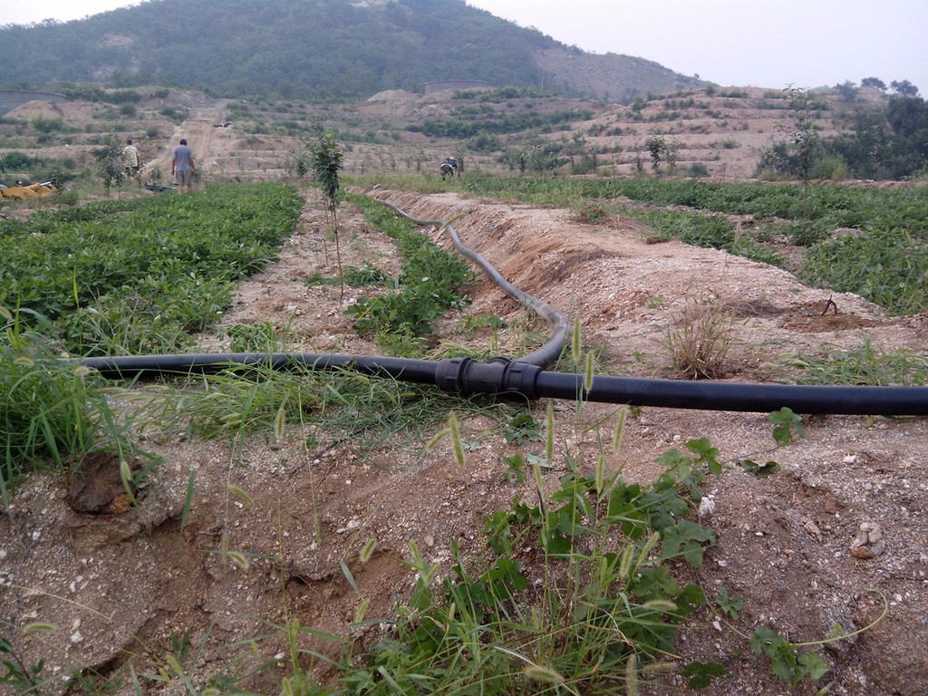 無土栽培，無土栽培技術(shù)，無土栽培設(shè)備